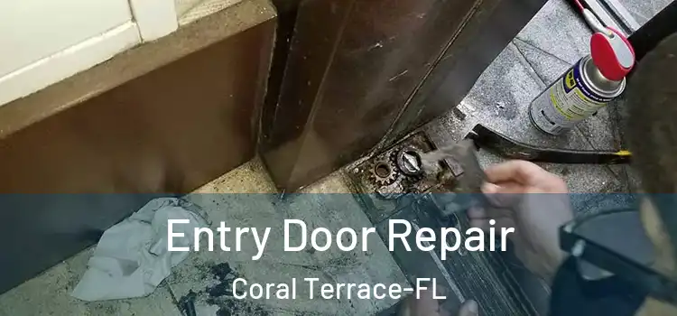 Entry Door Repair Coral Terrace-FL