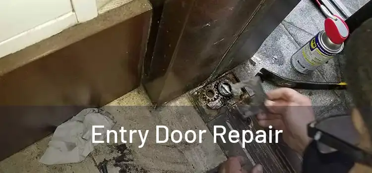 Entry Door Repair