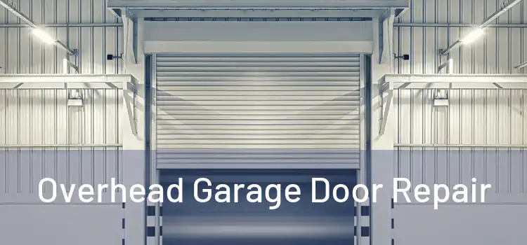 Overhead Garage Door Repair