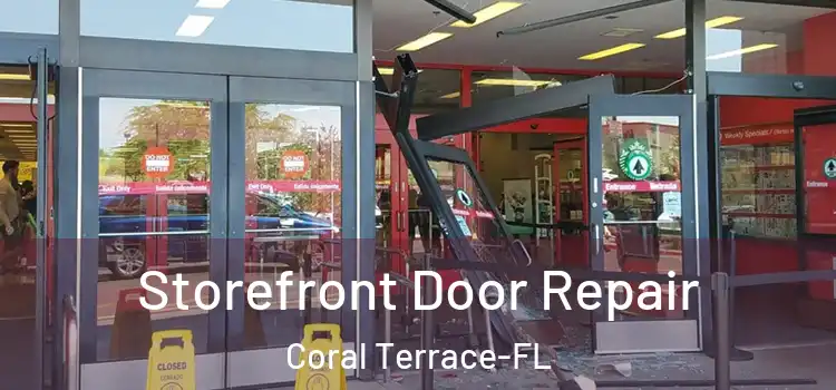Storefront Door Repair Coral Terrace-FL